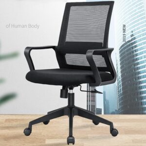 Medium back ergonomic chair, 2.0m directors executive desk, 4-drawer steel filing cabinet, High back executive visitor chair, 1.8m large executive office desk, 3-seater leather executive sofa, Low back ergonomic office chair